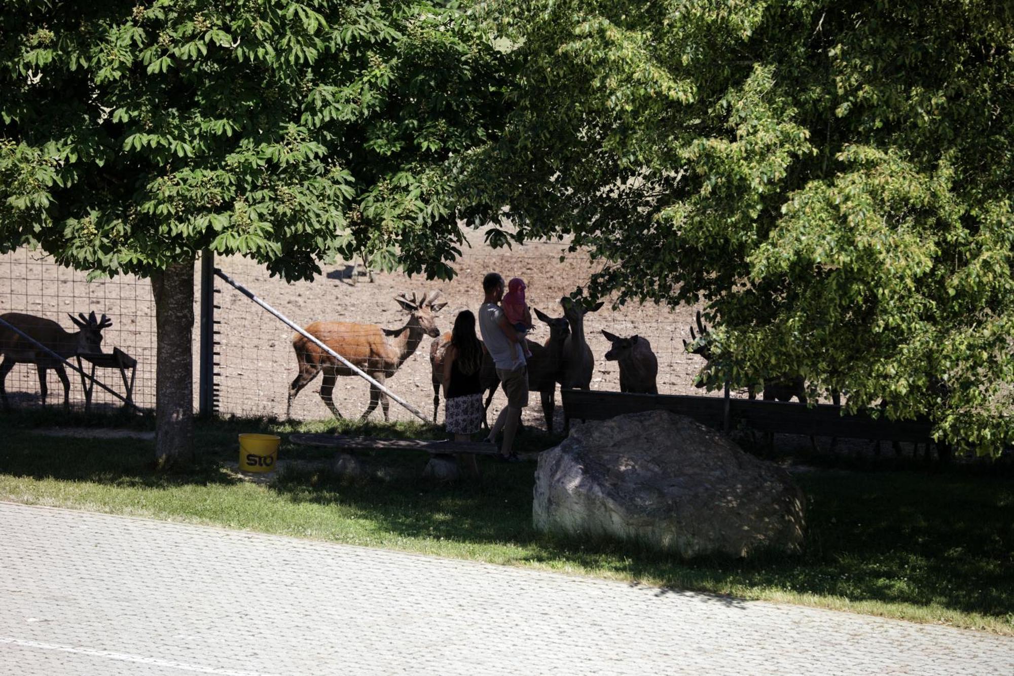 Schaetzlhof Ohg Hotell Ruderting Exteriör bild